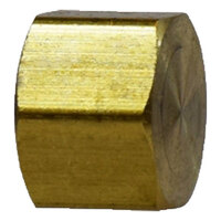 1/4 BRASS COMPRESSION HEX CAP