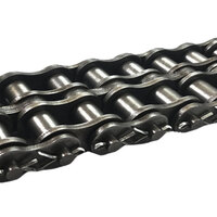 1-1/4" PITCH COTTERED DOUBLE ROLLER CHAIN 10'