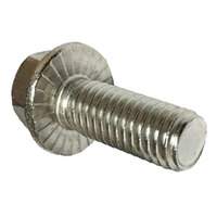 BOLTS-FLANGE-SS